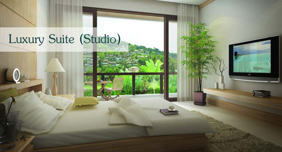 Luxury Suite (Studio)